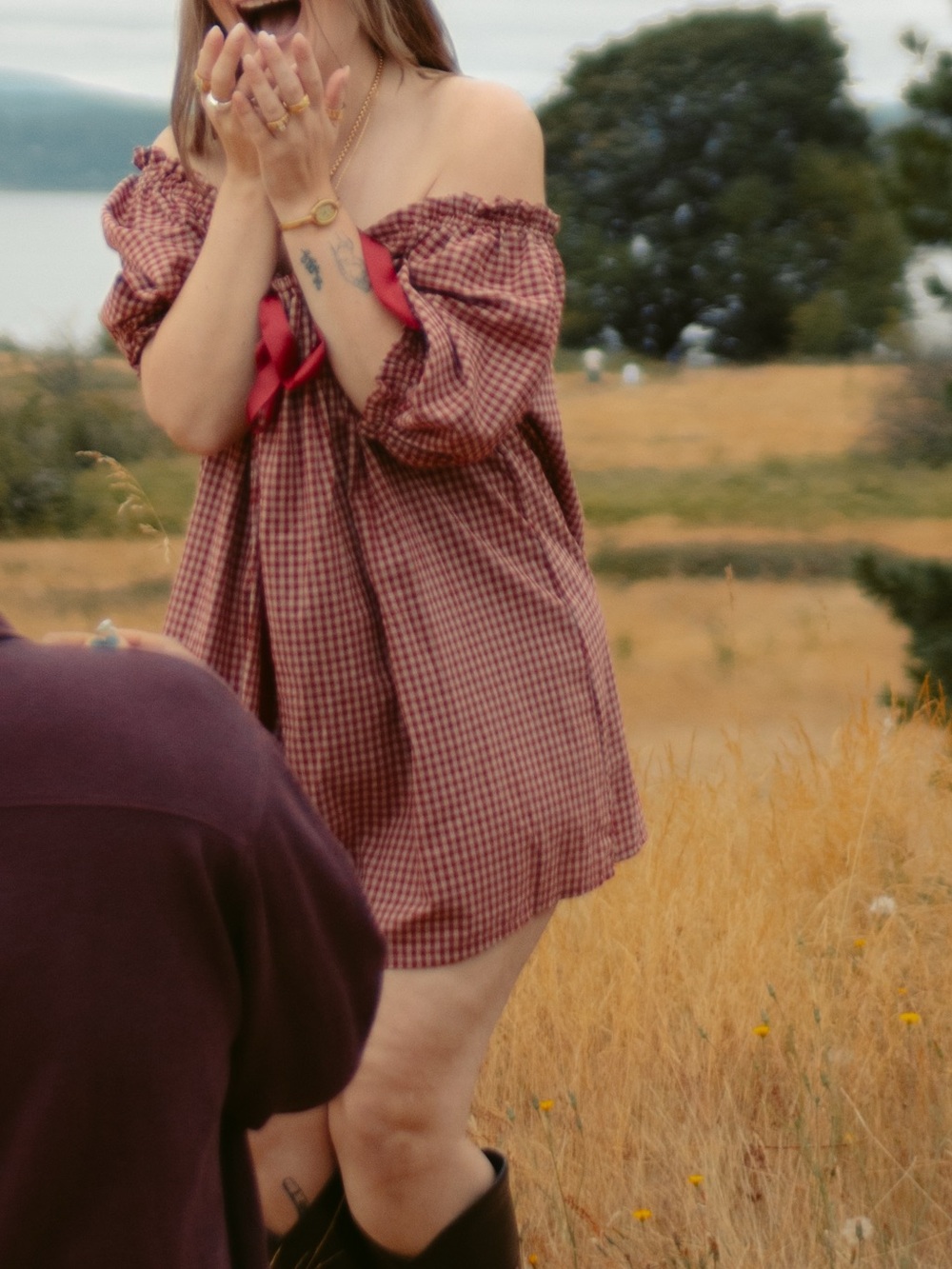 Off-Brand Burgundy Plaid Off-Shoulder Holiday Dress